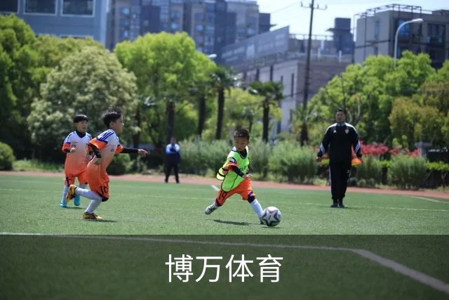 博万体育公司简介